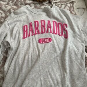 Hollister light grey & pink crewneck